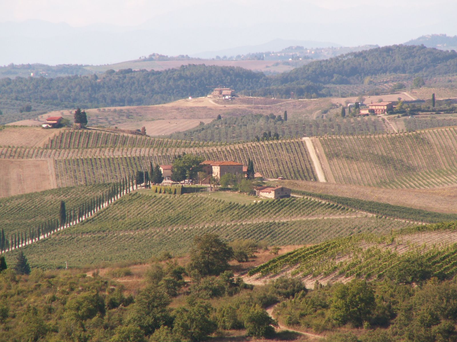 near Villa Trasqua, Toscania